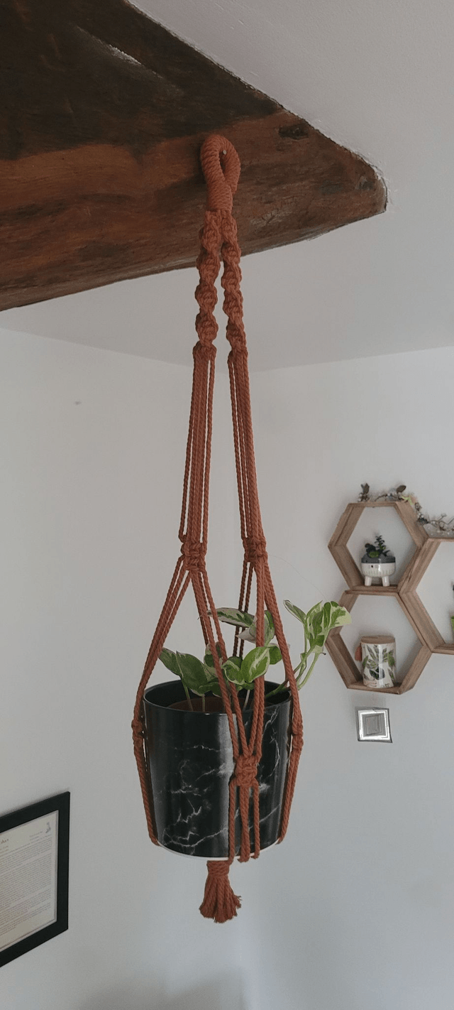Suspension pour plante Modèle "Jonquille"