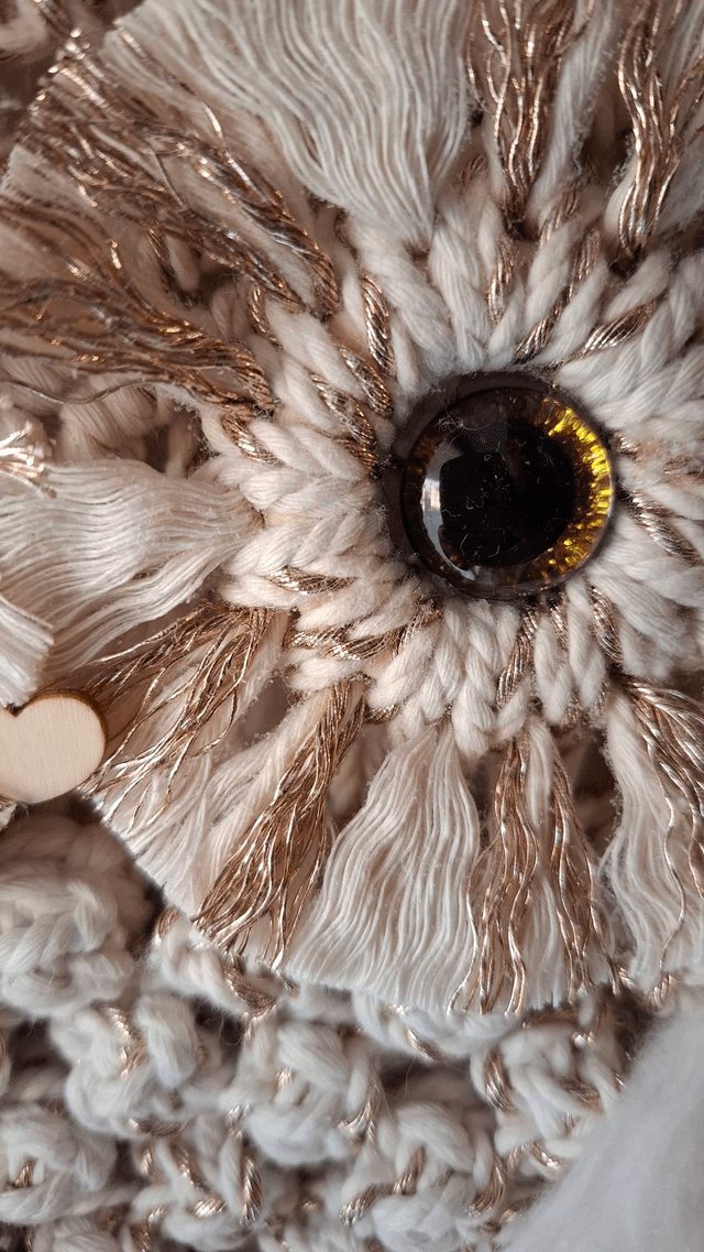 Hibou "belles plumes"