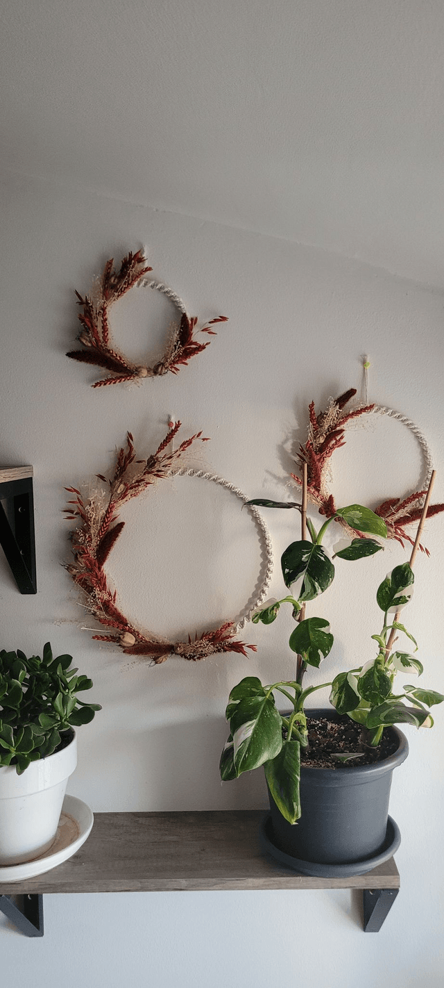 Cercle macramé Fleurs séchées modèle "Rouge" (diamètre : 15 cm)