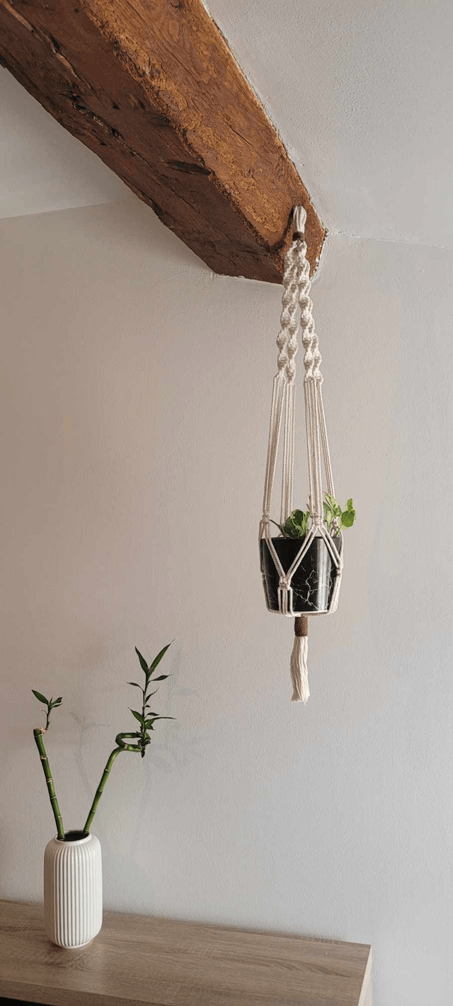 Suspension pour plante modèle "Anthurium"
