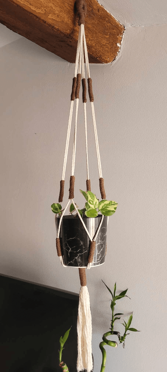 Suspension pour plante modèle &quot;Campanula&quot;
